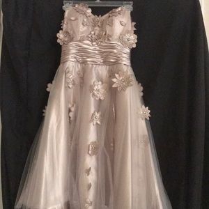 Champagne knee length dress